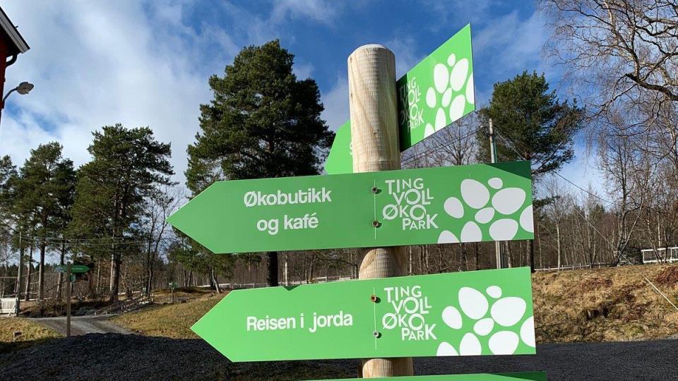 Lenke til artikkel: Styrking av klimaperspektivet i kommunal planlegging