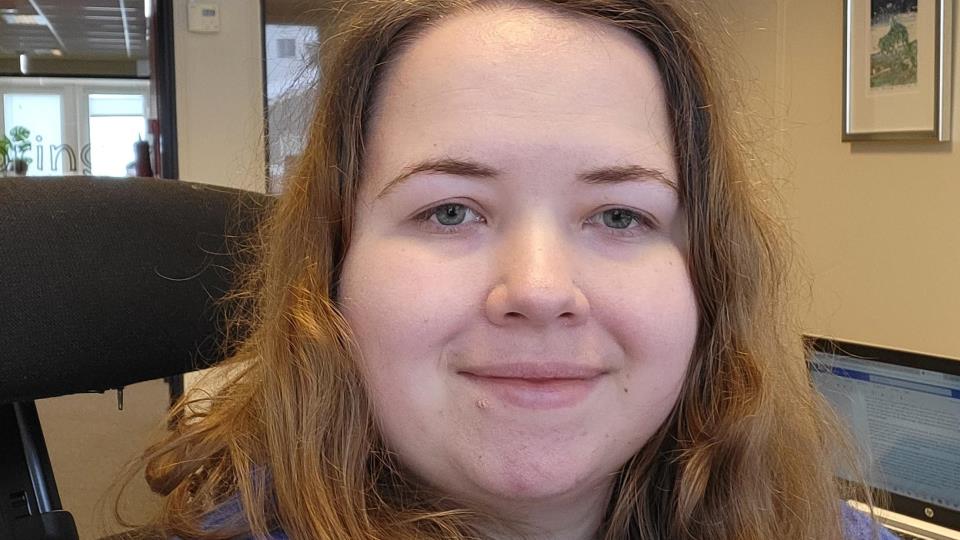 Lenke til artikkel: Ny regional samfunnsplanlegger
